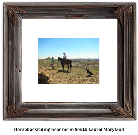 horseback riding near me in South Laurel, Maryland